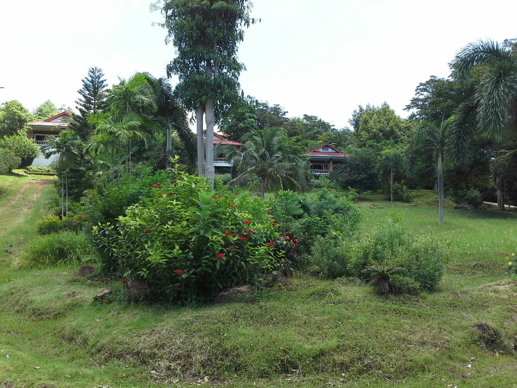 Freedom Estate Sea View Apartments Ko Lanta Екстериор снимка